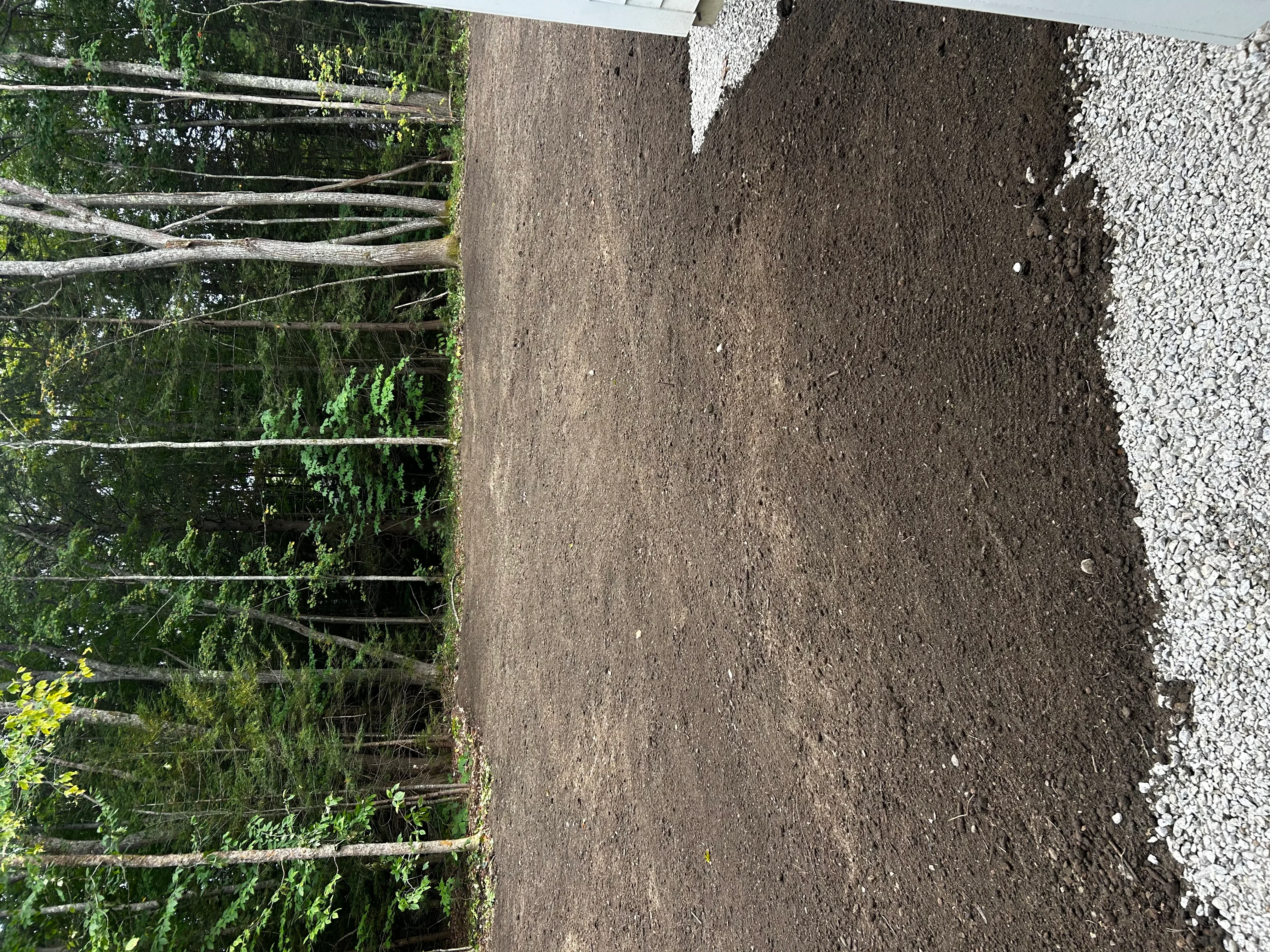 Graded driveway with compacted soil and white gravel edging, split-rail fence visible