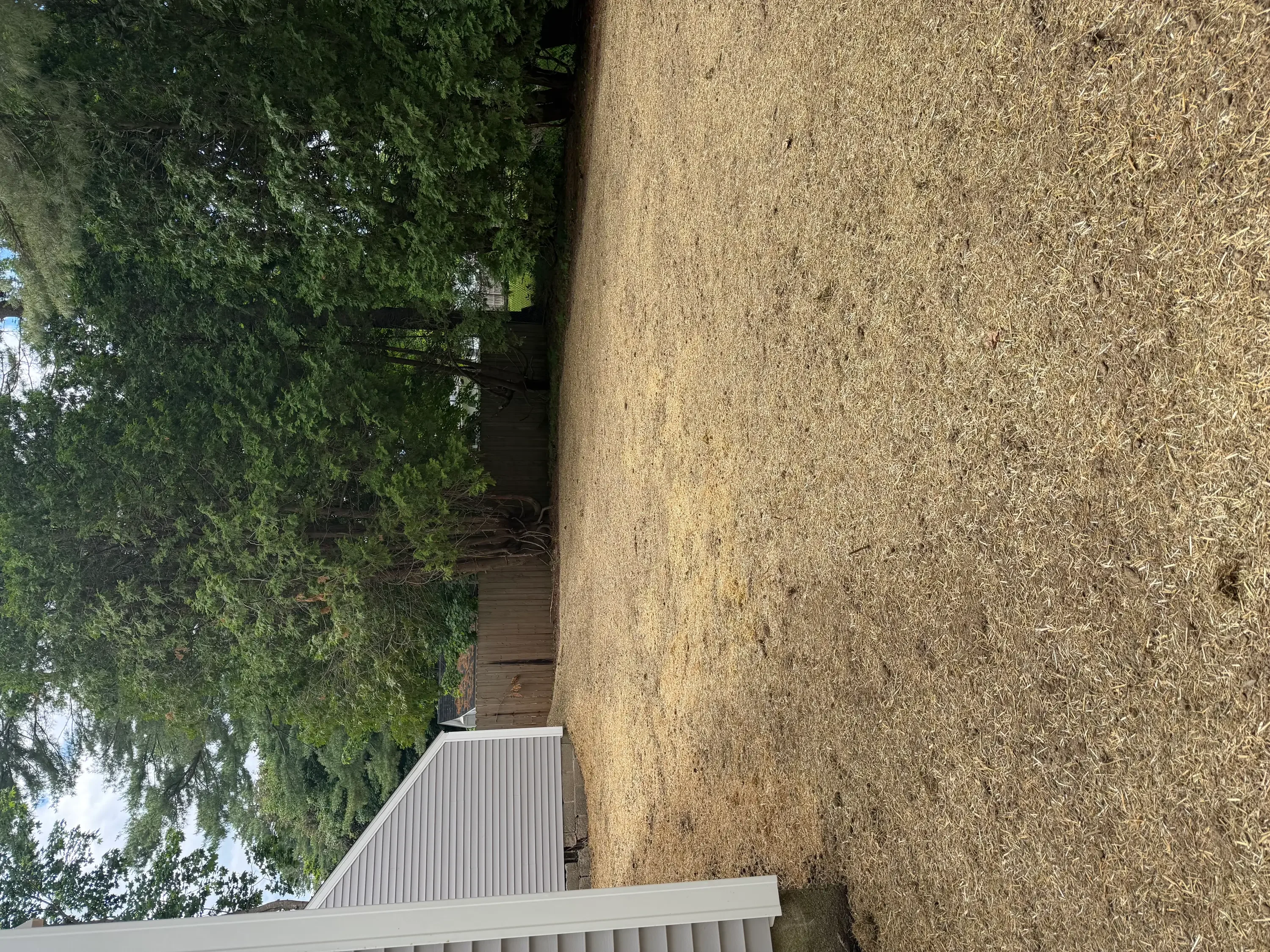 Graded and compacted driveway with metal fence and mature trees