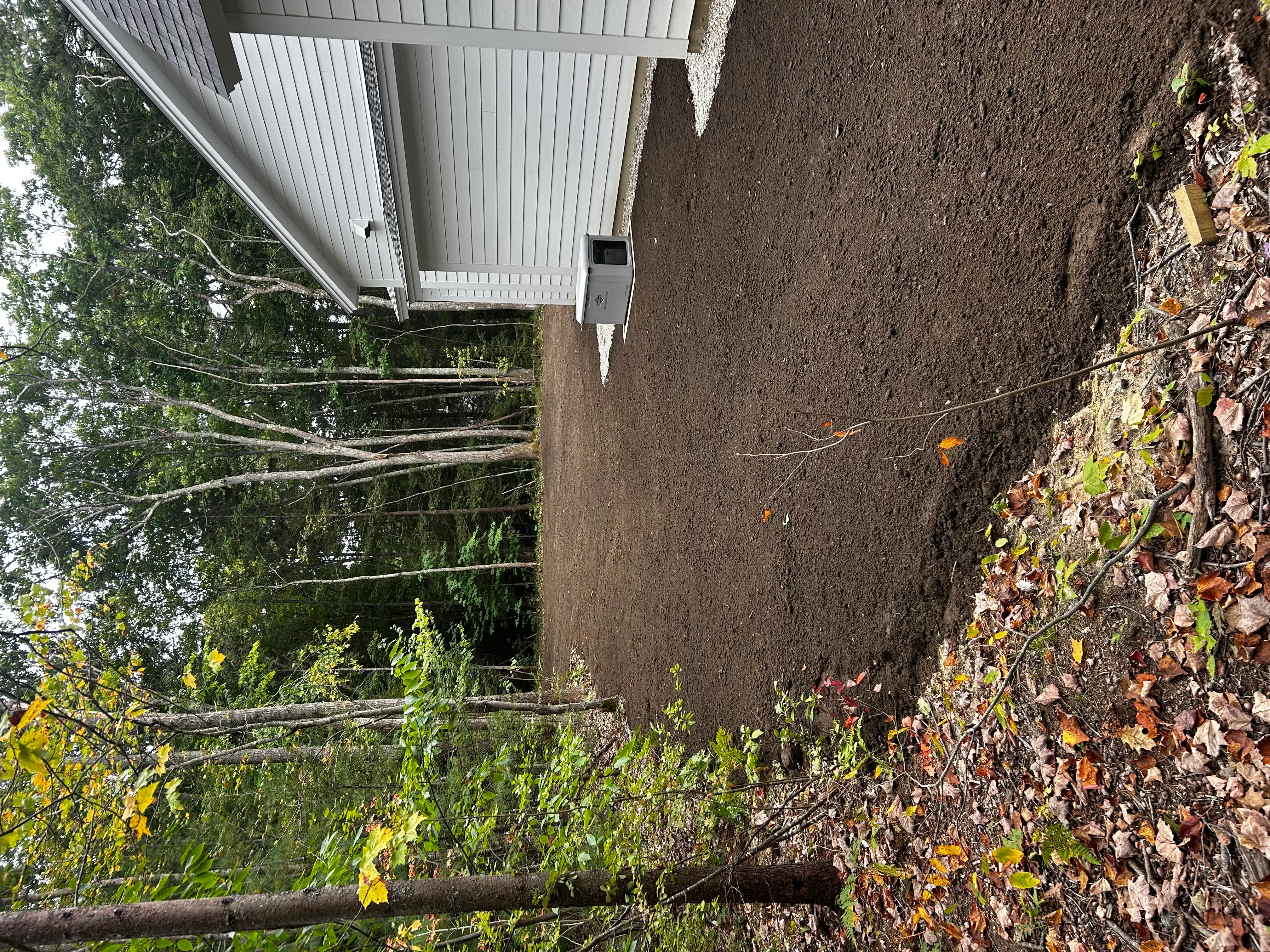 Excavated and graded dirt driveway with cleared vegetation and metal roof structure