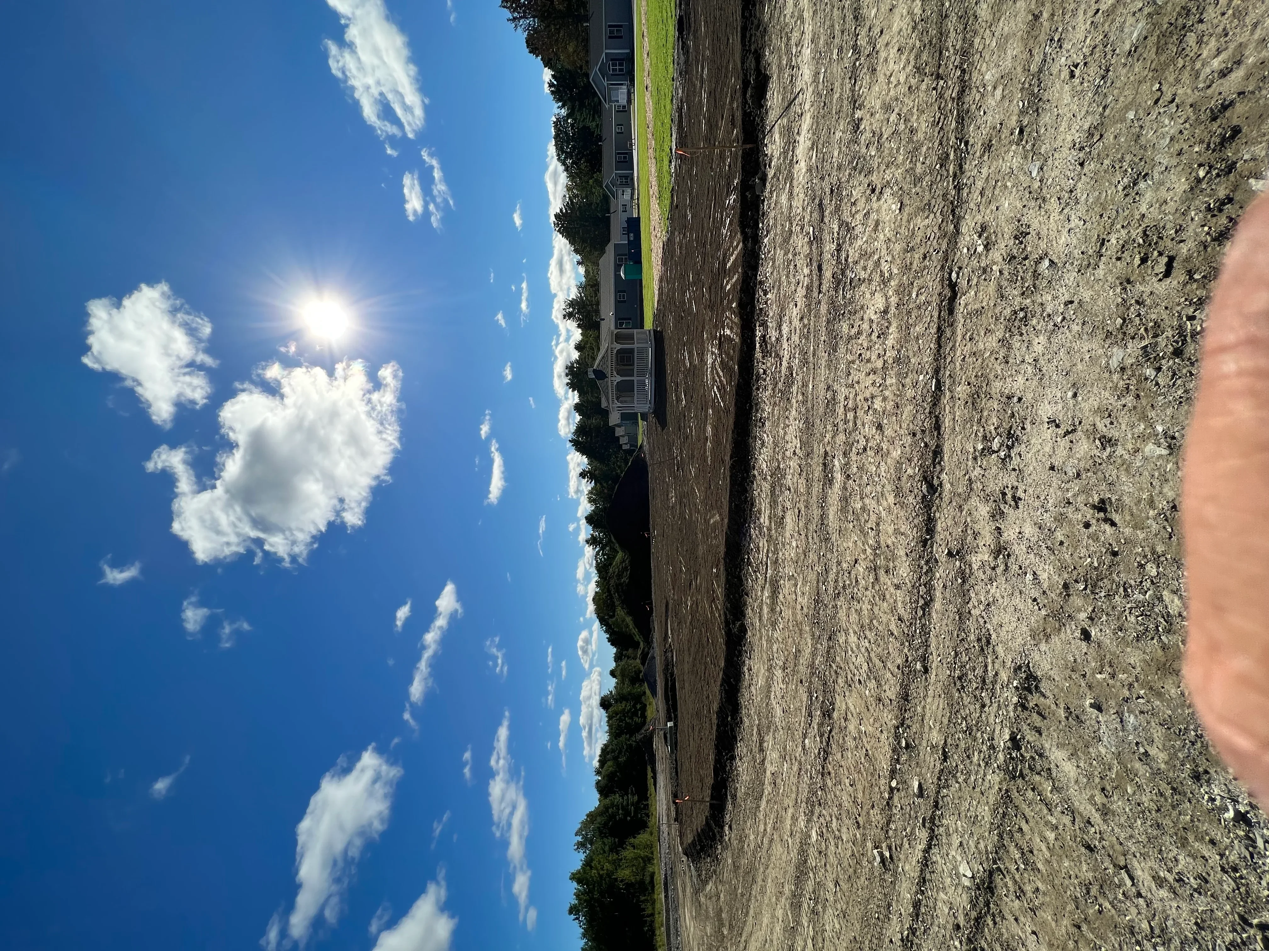 Compacted soil driveway and graded site with retained landscaping along edges
